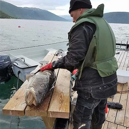 Lavan Farm * Burfjord