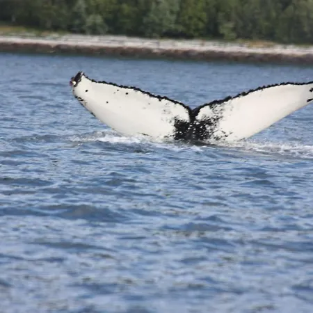 Lavan Farm * Burfjord